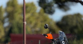KTM 890 ADVENTURE R 2025 