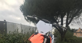 KTM 250 SX-F